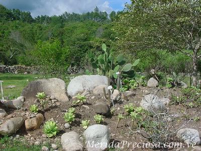 Jardn Botnico de Mrida, Venezuela