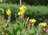 Jardn Botnico