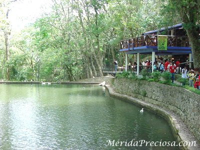 Chorros de Milla, Merida