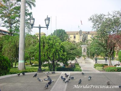 Palza Bolivar de Merida Venezuela