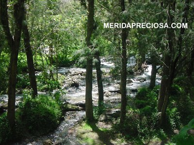 Rio Mucuy